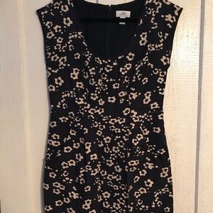Ann Taylor Loft Dress